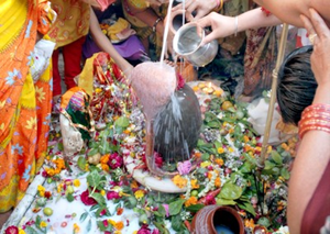 Pradhosha pooja is one of the most important among the pooja's performed to the graceful Lord shiva